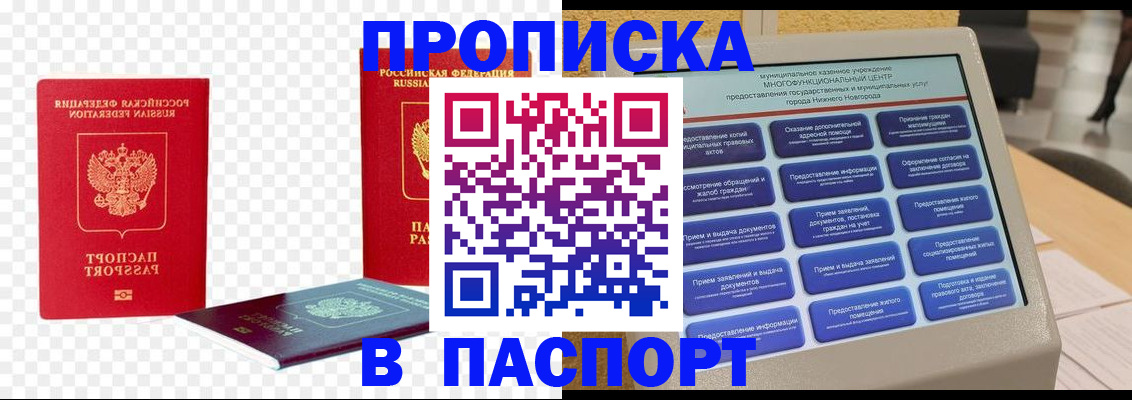 прописка гарантия в Мытищах